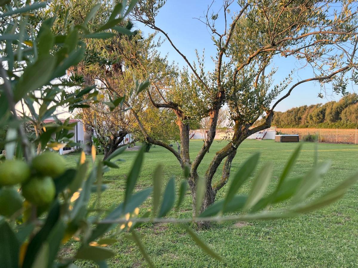 Podere Cala Viola Porto Conte Extérieur photo