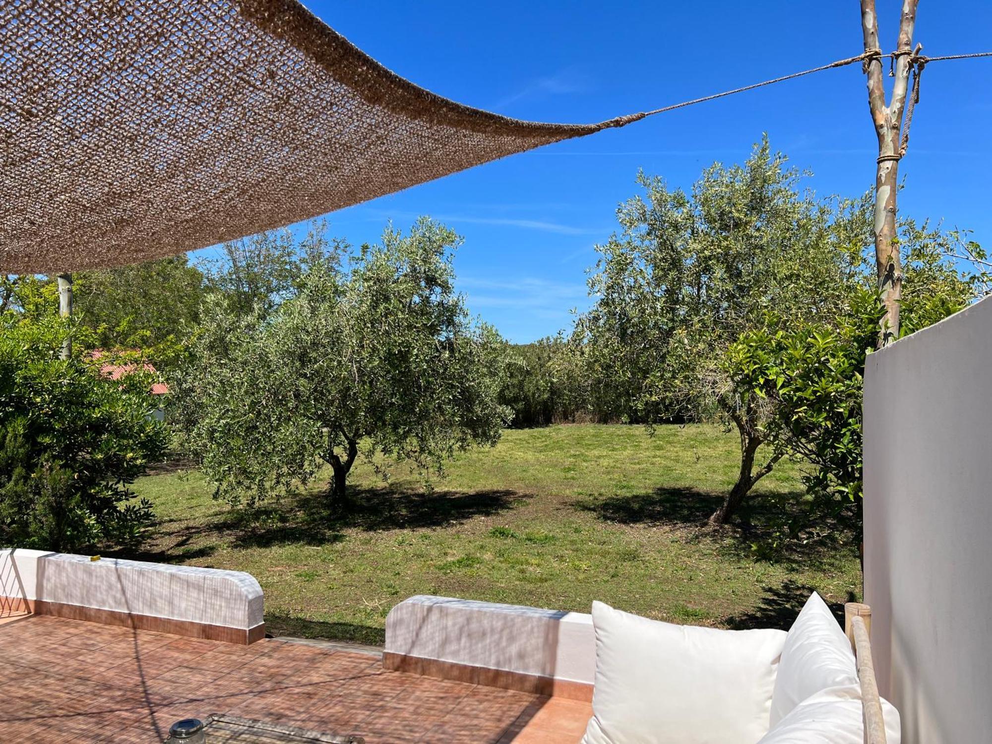 Podere Cala Viola Porto Conte Extérieur photo